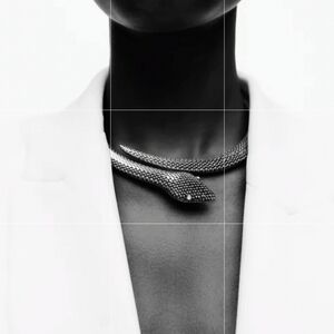 ZARA Snake serpentine serpent Choker Necklace In Silver | NWOT